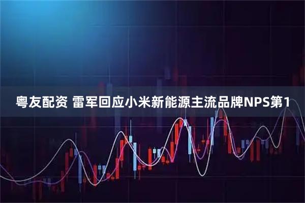 粤友配资 雷军回应小米新能源主流品牌NPS第1